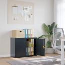 Aktenschrank Anthrazit 90x40x70 cm Stahl