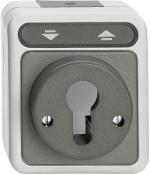 ARDEBO.de Merten MEG3717-8029 Rollladen-Tast-Rastschalter für Schließzylinder, Aquastar, 10 A, AC 250 V, lichtgrau