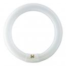ARDEBO.de Philips MASTER TL-E Circular TL-E 40W/830 1CT/12, 40,8W, 3200lm, 3000K (28476115)