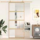 Schiebetür Golden 90x205 cm ESG-Klarglas und Aluminium