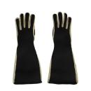 ARDEBO.de Dehn DEHNcare störlichtbogengeprüfte Handschuhe, Gr. 10, Leder (785810)