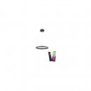 Paul Neuhaus Q-Vito LED-Pendelleuchte, 39W, 4000lm, Smart Home, anthrazit (8411-13)