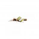 Chewies Olivenholz S