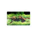 Dohse HOBBY Fotorückwand Spring / Moss 30 cm per Meter