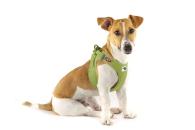 Curli Clasp Vest Geschirr Air-Mesh Light-Tan L