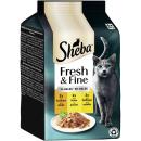 Sheba P.B. MP Fresh & Fine Truthahn, Huhn & Geflügel in Gelee 6x50g (Menge: 6 je Bestelleinheit)