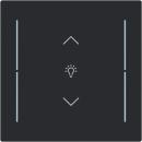 ARDEBO.de Busch-Jaeger LFDW/A.1.70.11-45M Wippe für Keypad, art linear, 1-fach, Symbol Dimmer, schwarz matt (2CKA006199A0426)