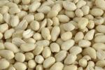 Erdnusskerne blanchiert 25kg