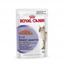 Royal Canin Feline Digestive Care in Soße P.B. Multipack 12x85g