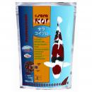 sera Koi Professional Frühjahr-/Herbstfutter 1000 g