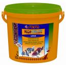 sera Koi Color Nature Large 3800 ml / 980 g