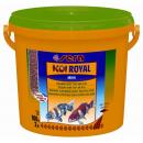 sera Koi Royal Nature Mini 3800 ml