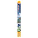 sera LED X-Change Tube marine blue sunrise 660