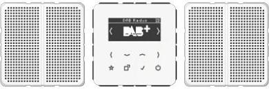 ARDEBO.de Jung DABCD2WW Smart Radio DAB+ Set Stereo, alpinweiß
