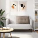 Rücken Kissen Taupe 80 x 50 cm Mikrofaserstoff