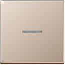 ARDEBO.de Jung A590KO5CH Wippe mit Lichtleiter, A 500, Aplus & A creation, Champagner