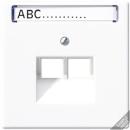 ARDEBO.de Jung LS969-2NAUALG Abdeckung mit Schriftfeld 7 x 57 mm, LS 990, lichtgrau