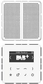 ARDEBO.de Jung DABCD1WW Smart Radio DAB+ Set Mono, alpinweiß