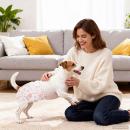 ARDEBO.de - Wegwerf-Hundewindel für Hündinnen 30 pcs Weiß S