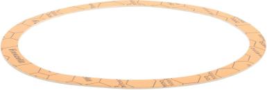 ARDEBO.de Bosch Siemens 00444123 Dichtung, Dichtung 168x145x1,5