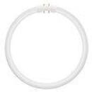 ARDEBO.de LEDVANCE LED T5 FC 22 EXTERNAL P 11.6W 840 2GX13, dimmbar, für EXTERNAL-Treiber (4099854300820)