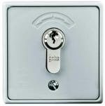 ARDEBO.de Rademacher 4596 Schlüsseltaster Aufputz inkl. Zylinder 75x75x50, grau (80000006)