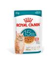 Royal Canin Feline Ageing 15+ in Soße 12x85g
