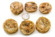 ARDEBO.de Lunderland Rotbarschhaut-Taler 100 g