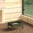 Vogel-Feeder Olive Grün 34 x 26 x 16 cm Kaltgewalzter Stahl