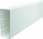 BETTERMANN WDK80210 RW Wand- und Deckenkanal (Menge: 2 m je Bestelleinheit)