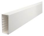 BETTERMANN WDK60150 RW WAND+DECKENKANAL RE (Menge: 2 m je Bestelleinheit)