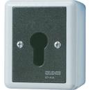 JUNG 806.28 G SCHLUESSEL-SCHALTER