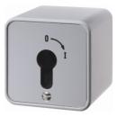BERKER 4466 Schlüsselschalter Ap