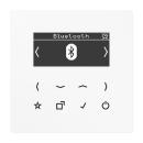 JUNG DABLSBTWW Smart Radio DAB+