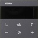 GIRA 539328 S3000 RTR Display System 55