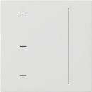 GIRA 536503 S3000 Touchaufsatz System 55