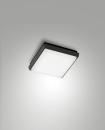 FABAS LUCE 3314-69-101 LED Wand- Deckenleuchte sw.