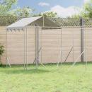 Outdoor-Hundezwinger mit Dach Silbern 10x6x2,5 m Stahl Verzinkt