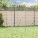 Outdoor-Hundezwinger Silbern 6x10x2 m Verzinkter Stahl