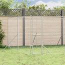 Outdoor-Hundezwinger Silbern 8x4x2 m Verzinkter Stahl