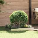 ARDEBO.de - Raseneinfassung 100 x 60 x 20 cm Stahl Silber