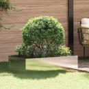 ARDEBO.de - Raseneinfassung 100 x 60 x 35 cm Stahl Silber