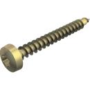 ARDEBO.de - Golden-Sprint-Schraube Panhead, Antrieb T-Drive 4x40mm, St, GGP