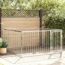 Outdoor-Hundezwinger 200×200×100 cm