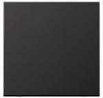 Jung AL 2990 D Wippe für Schalter, Taster und Multi-Switch, dark (lackiertes Aluminium)