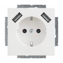 ARDEBO.de - 20 EUCB2USB-84 20 EUCB2USB-84 SCHUKO® 2x USB-Steckdose