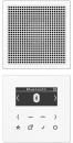 Jung DABLS1BTWW Smart Radio DAB+ mit Bluetooth-Set Mono, alpinweiß
