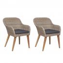 Gartenstühle mit Polstern 2 Stk. Poly Rattan Braun 