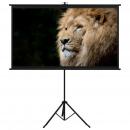 Beamer-Leinwand mit Stativ 84" 16:9