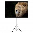 Beamer-Leinwand mit Stativ 57" 1:1